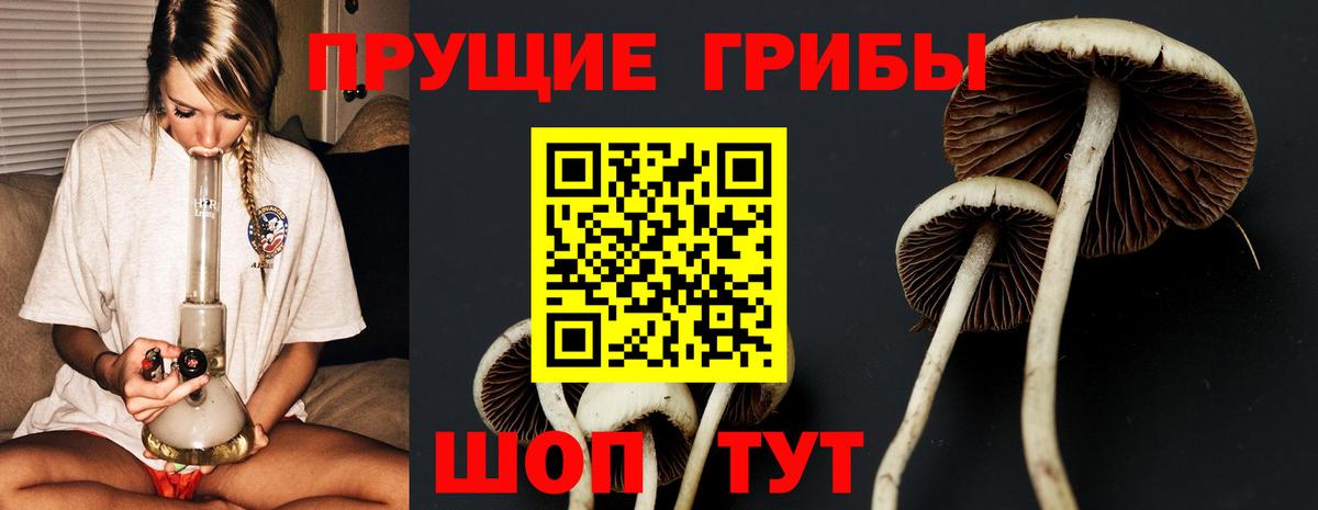Галлюциногенные грибы GOLDEN TEACHER  Вход с VPN  Туапсе  Галлюциногенные грибы MAGIC MUSHROOMS 