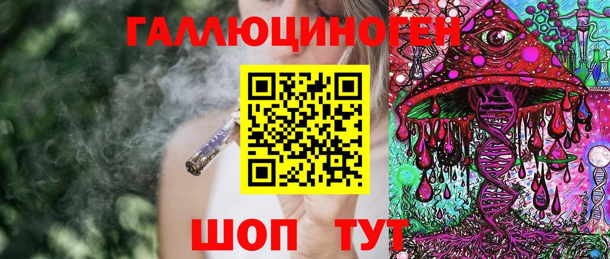 Галлюциногенные грибы Psilocybe Туапсе